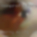 Horny milfs Jacksonville